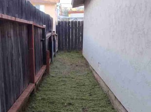 Michael D.'s Lawn Mowing service result