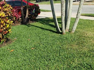 Simon O.'s Lawn Maintenance service result