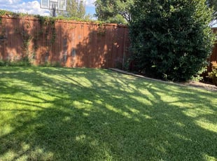 Art P.'s Lawn Maintenance service result