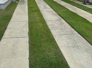 Sandra T.'s Grass Cutting service result