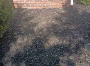 Weeding by Jay Whooper for Eva K. in Hinckley, OH