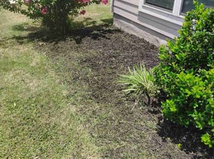 Weeding by Thomas Rodriguez for Blake H. in San Marcos, TX