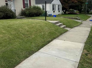 Christina W.'s Lawn Mowing service result