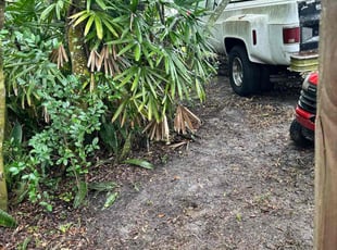 Bush Trimming by Mason Young for Kenneth W. in Tampa, FL