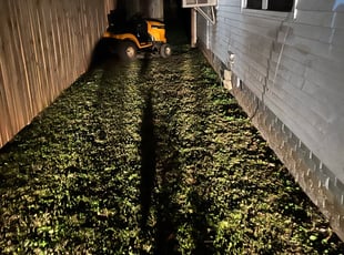 Leaf Removal by Trevor Harris for Janice M. in Atlanta, GA