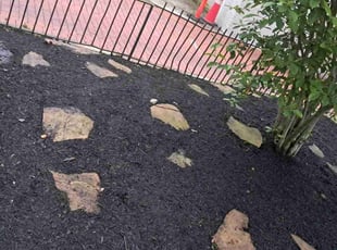 David M.'s Flower Bed Weeding service result