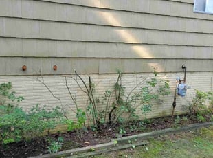 Cleanups by Dan Hume for Richard S. in Laurel, MD