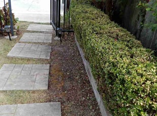 Bush Trimming by Daniel Campos for William J. in Houston, TX