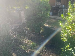 Bush Trimming by Warren Carter for Gregory A. in Conroe, TX