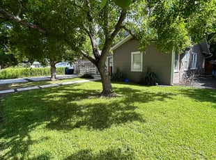 Amanda W.'s Grass Cutting service result