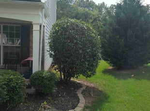Bush Trimming by Ismael Galvez for Kristen A. in Waxhaw, NC