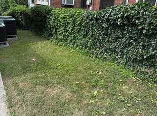 Bush Trimming by Aaron Davis for Critesha G. in Roanoke, VA
