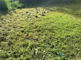 Cleanups by Joey Handley for Cecilia O. in Tulsa, OK