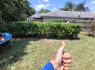 Bush Trimming by Sinem Dokmeci for Tonya C. in Port St. Lucie, FL