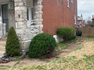 Bush Trimming by Jerome Gooden for Seth H. in St. Louis, MO