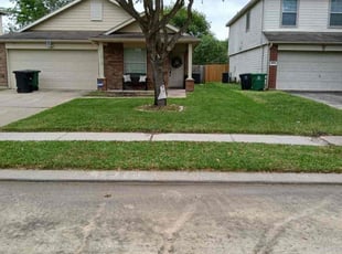 Bradley P.'s Yard Cutting service result