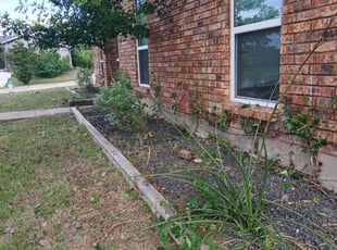Weeding by Valente Alvarado for Tosh S. in The Colony, TX