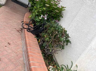 Bush Trimming by Aristeo Valladares for Natalie L. in Moreno Valley, CA