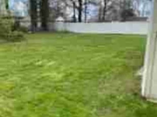 Jake W.'s Lawn Care service result
