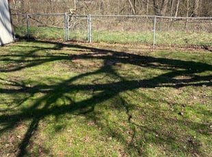 Leaf Removal by Anthony McFarland for James C. in Indianapolis, IN