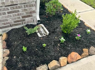 Landscaping by Edwin Fernandez for Stephanie G. in Katy, TX