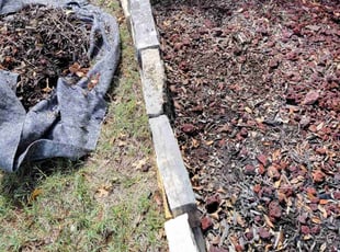 Weeding by Jesse Johnson for Denita B. in Fort Worth, TX