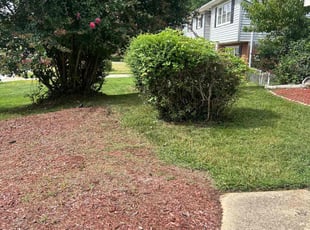 Bush Trimming by Malik Minor for RA S. in Fort Washington, MD