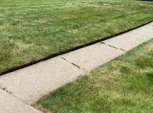Cleanups by Ricardo Binyard Jr for Melba R. in Sterling Heights, MI