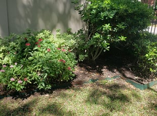 Weeding by Hugo Melgar for Catherine C. in Houston, TX
