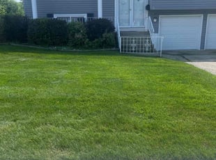 Dong K.'s Lawn Care service result