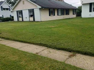 Billy R.'s Lawn Maintenance service result