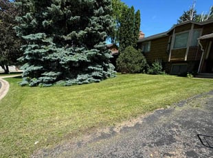 Ciara B.'s Lawn Maintenance service result