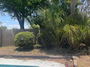 Bush Trimming by Apolinar Bravo for Alethia R. in Winter Haven, FL