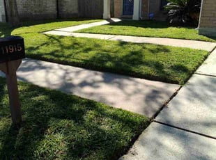 Precious S.'s Grass Cutting service result