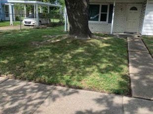 Leaf Removal by Clinton Peet for James G. in Norfolk, VA