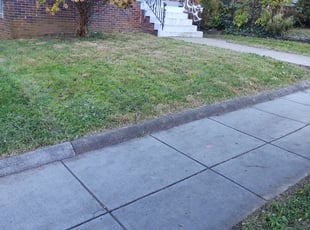 Leaf Removal by Allan Roberts for Derek B. in Washington, DC
