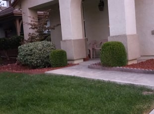Bush Trimming by Javed Burgos for Jeremiah E. in Elk Grove, CA
