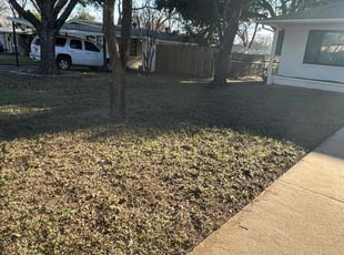 Leaf Removal by Franklin Garcia for Meghan D. in Austin, TX