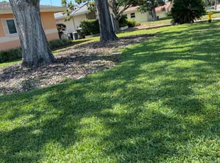 Jana M.'s Lawn Maintenance service result