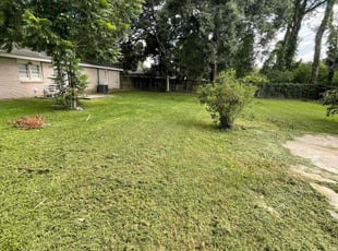 Brantly S.'s Yard Cutting service result