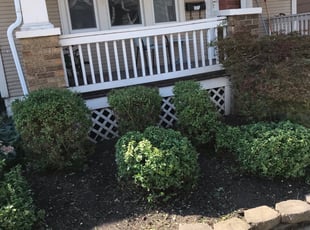 Leaf Removal by Stephan Coleman for Mike M. in Columbus, OH