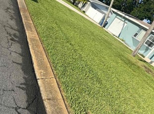 Elizabeth N.'s Grass Cutting service result