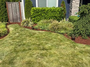 Weeding by Alex Brost for Sunith V. in Des Moines, WA