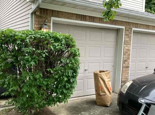 Bush Trimming by Joel Laumas for Kenneth s. in Lexington, KY