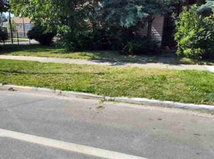 Bush Trimming by Mercedes Longstreath for Jeffrey W. in Chicago, IL