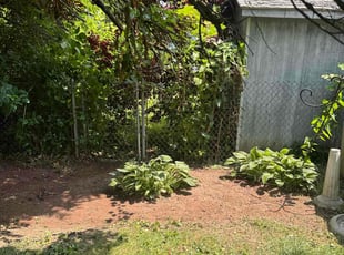 Bush Trimming by Justin Austin for Scott M. in New Castle, DE