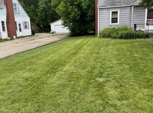 Cleanups by Antonio Oatis for Christy B. in Hamilton, OH