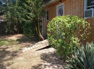 Bush Trimming by Artisha Smith for Audrey O. in Chester, VA