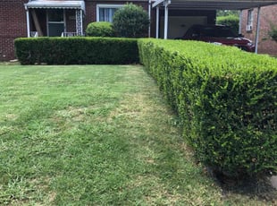 Bush Trimming by Paul Handley for Jackie W. in Tulsa, OK