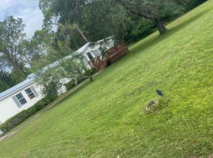 Jessika H.'s Lawn Care service result